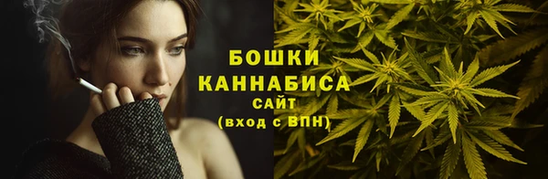 гидра Гусев