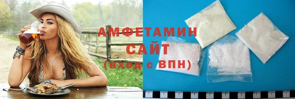гидра Гусев