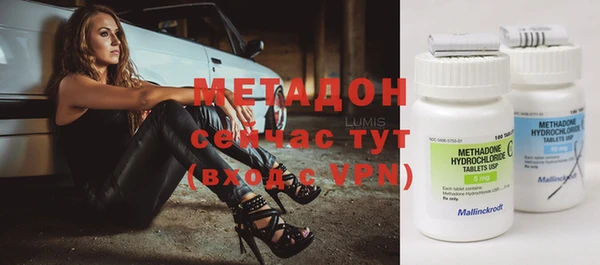 прущие грибы Гусь-Хрустальный