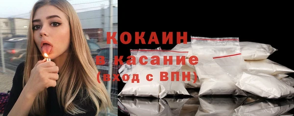 гидра Гусев