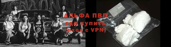 прущие грибы Гусь-Хрустальный