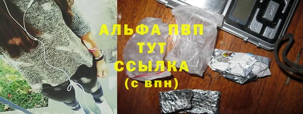 гидра Гусев