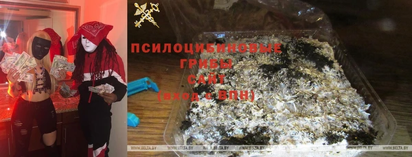 бошки Гусиноозёрск