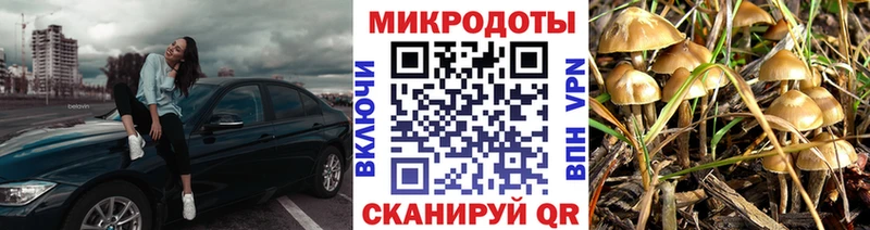 MEGA ССЫЛКА  закладка  Дмитров  Галлюциногенные грибы мицелий 